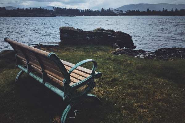 bench near lake