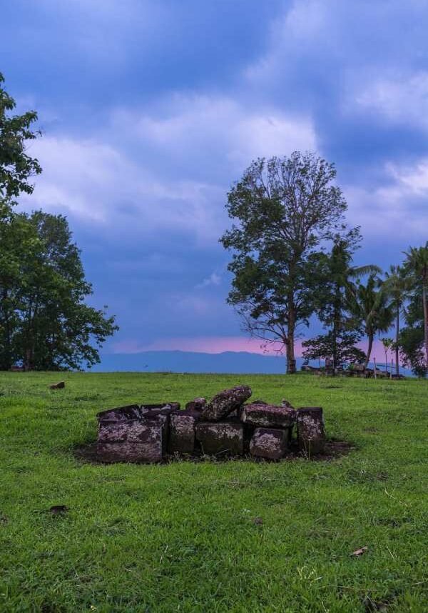 Rocks on grassy field