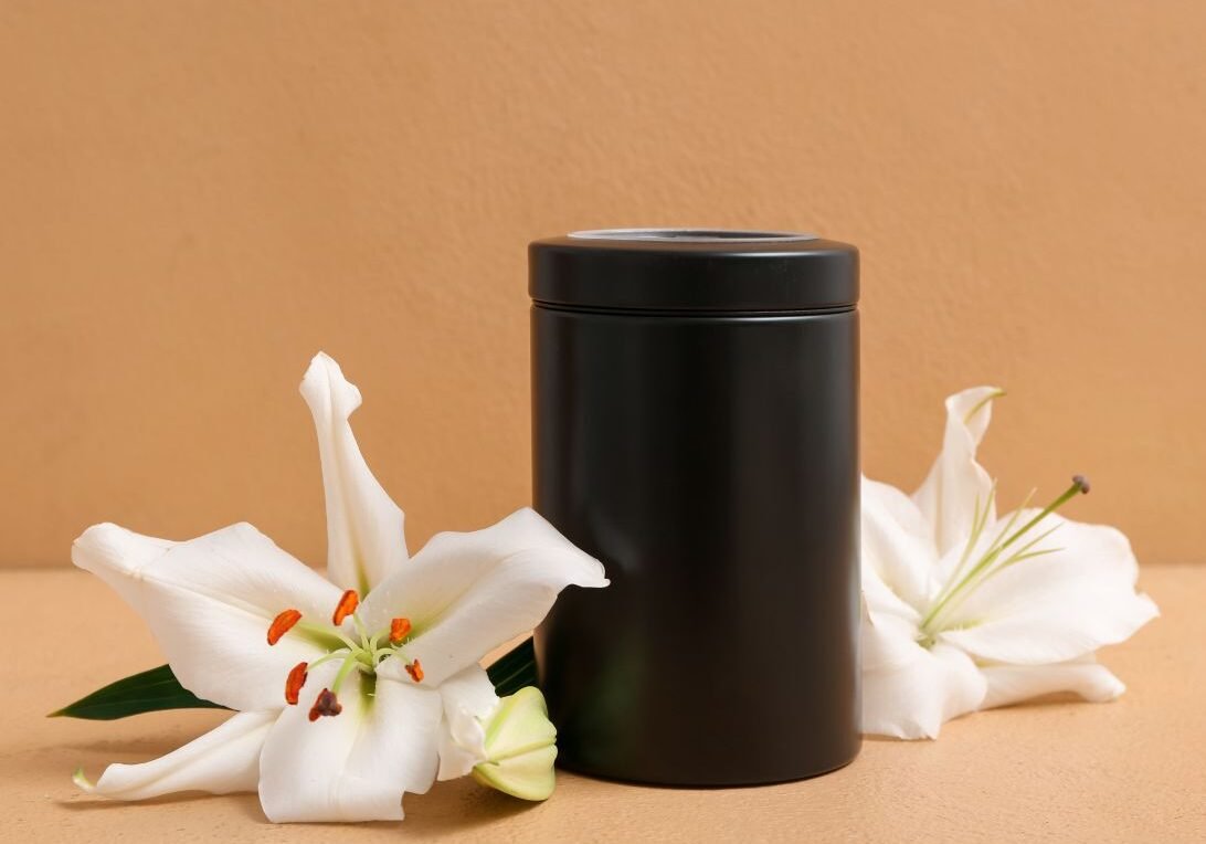 Untitled design (27)