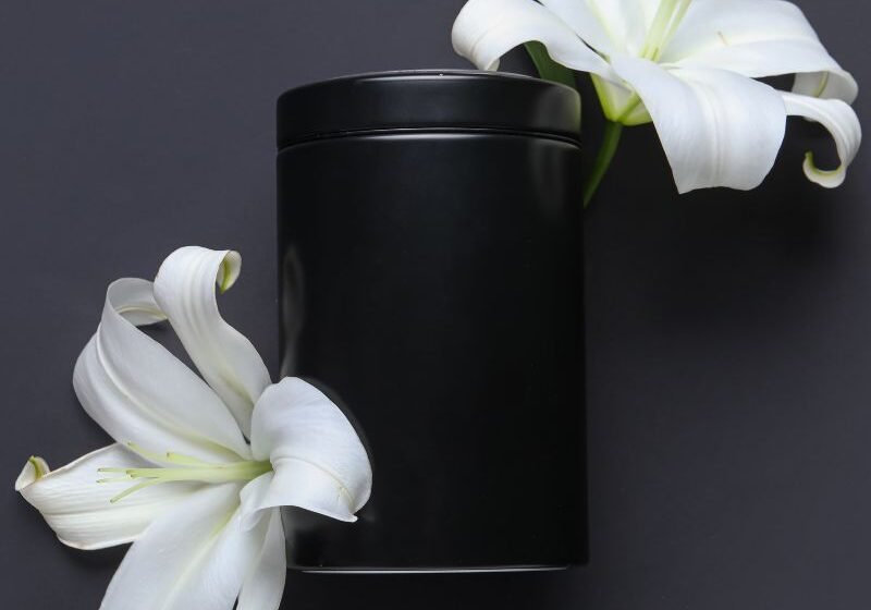 Untitled design (51)